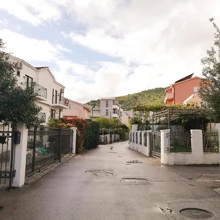Azalea Of Budva